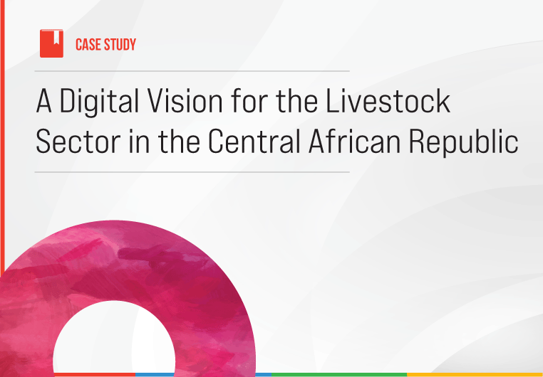 Digital Vision for the livestock sector in CAR.